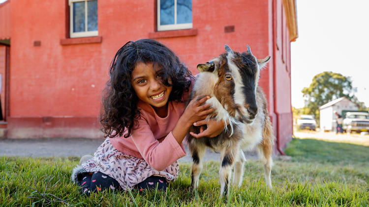 Girl sits with small goat.
