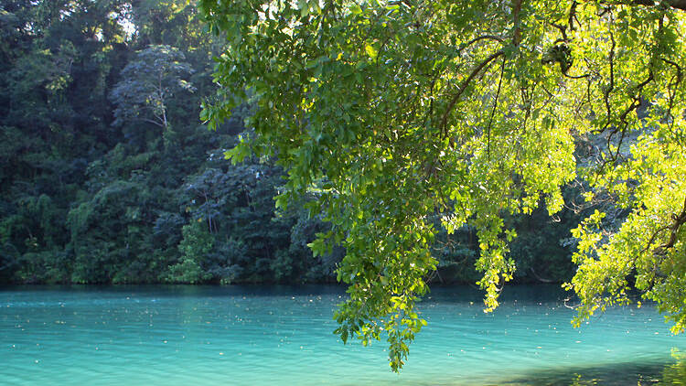 Plunge into the Blue Lagoon—by vine swing