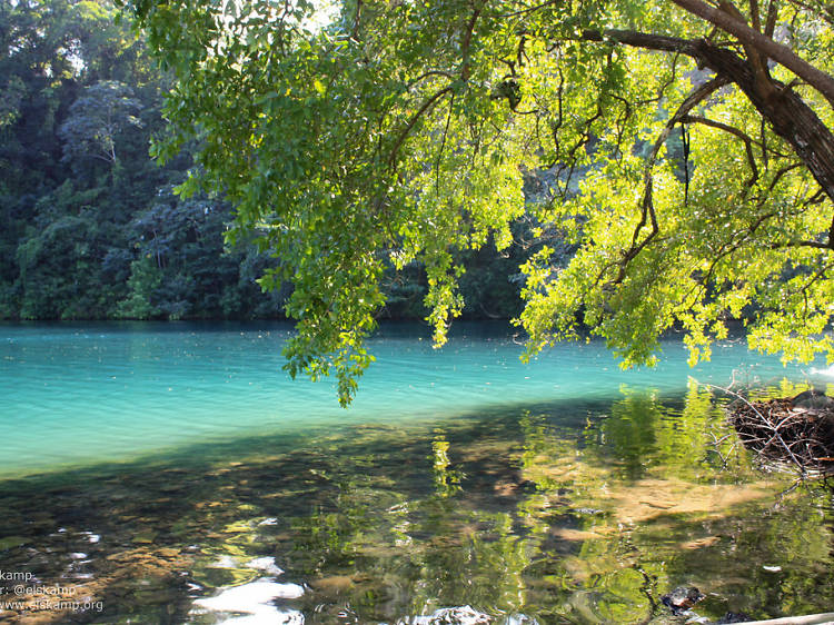 Plunge into the Blue Lagoon—by vine swing