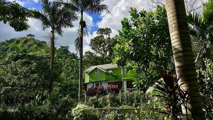 Sample a slice of rural Jamaica at Belcour Lodge