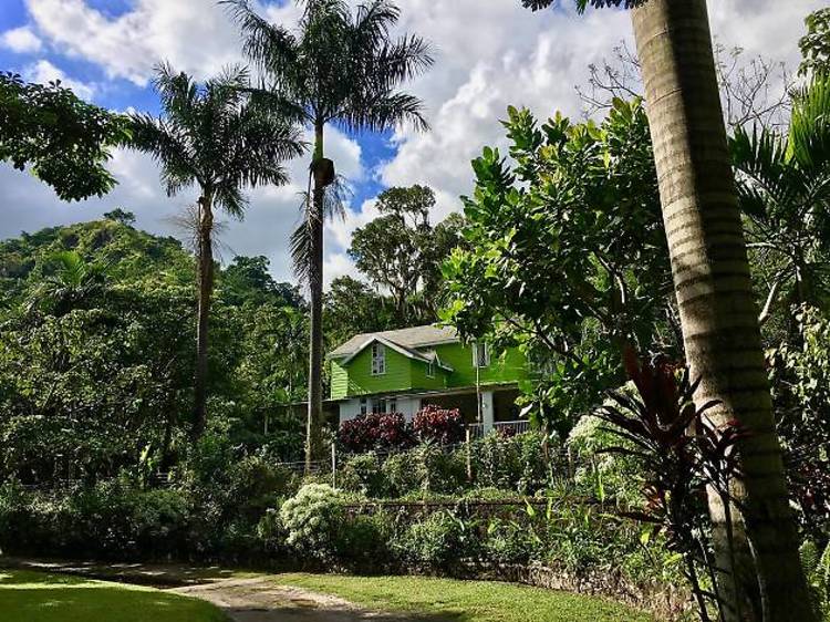 Sample a slice of rural Jamaica at Belcour Lodge