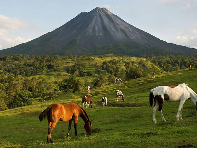 Arenal Volcano National Parkskytrek Arenal Volcano National Parkskytrek