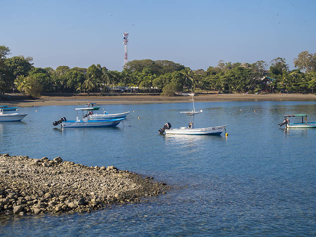 Puerto Jiménez Puerto Jiménez