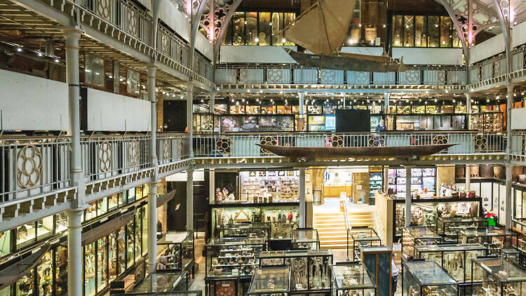 Pitt Rivers Museum (Oxford)