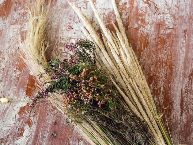 Botânica Florista Botânica Florista
