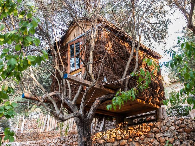 Sleep in a tree house at Kalamata