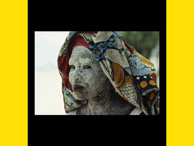 National Geographic em Matosinhos National Geographic em Matosinhos