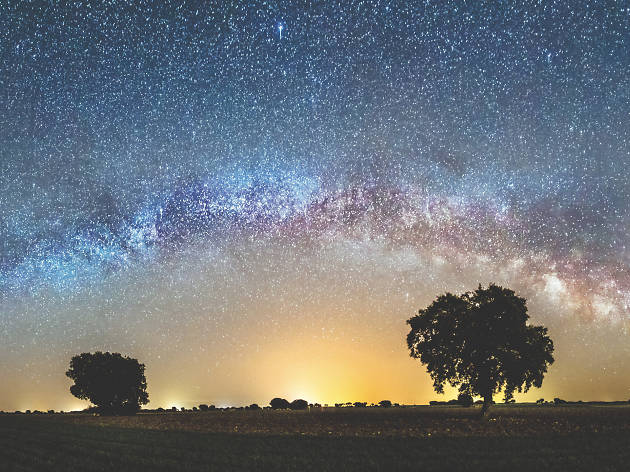 Perseidas Perseidas