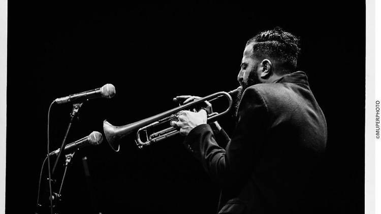 avishai cohen