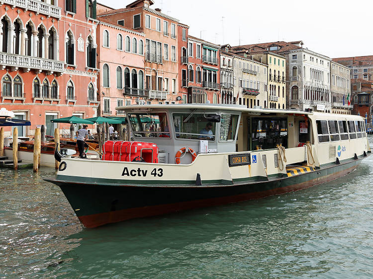 10 Best Things to Do with Kids in Venice This Year