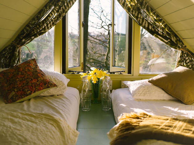 Ted's Hilltop Treehouse Ted's Hilltop Treehouse