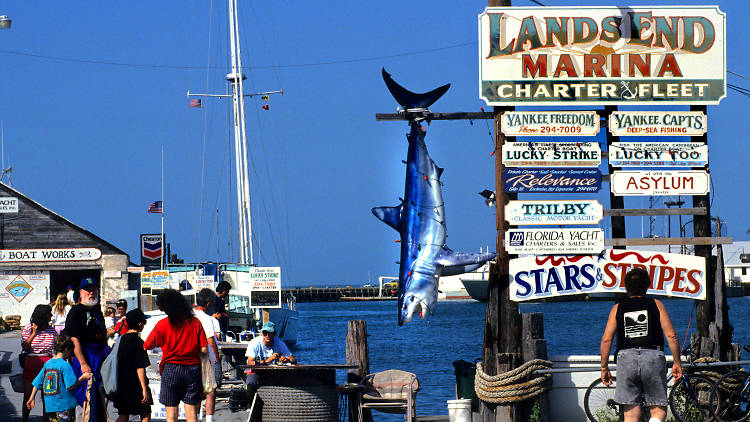 Hire a fishing charter in Islamorada