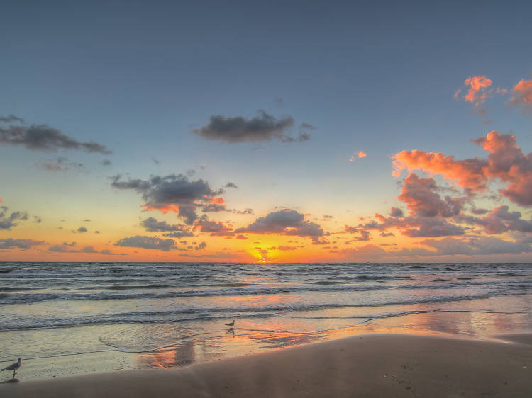 best month to visit south padre island