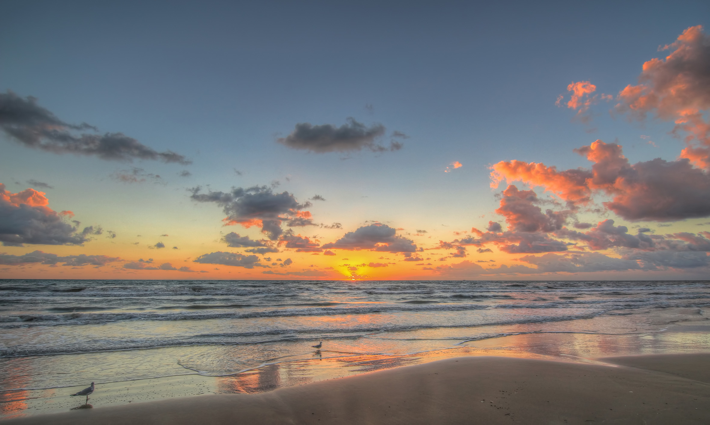 South Padre Island, Texas 2023 | Ultimate Guide To Where To Go, Eat & Sleep  in South Padre Island | Time Out