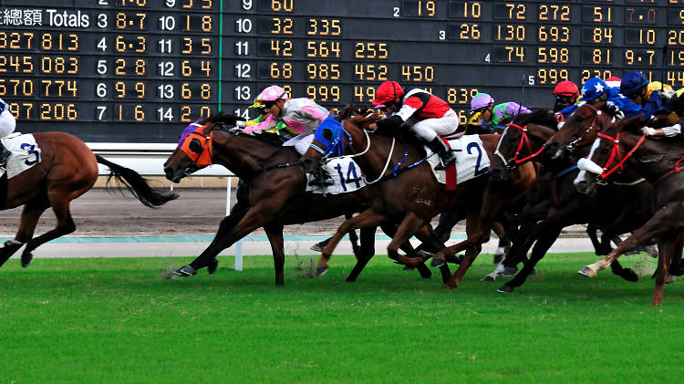 Hong Kong International Races