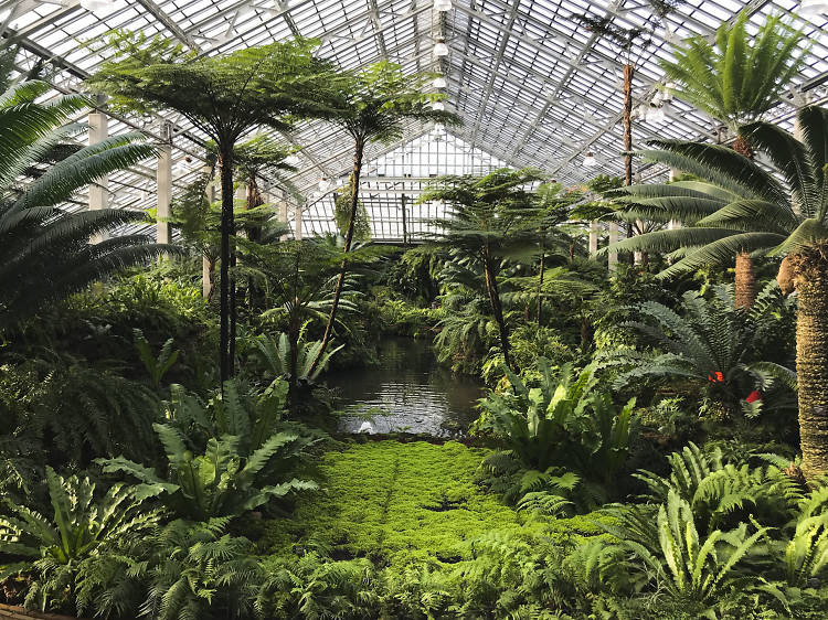 Garfield Park Conservatory, 300 N Central Park Ave