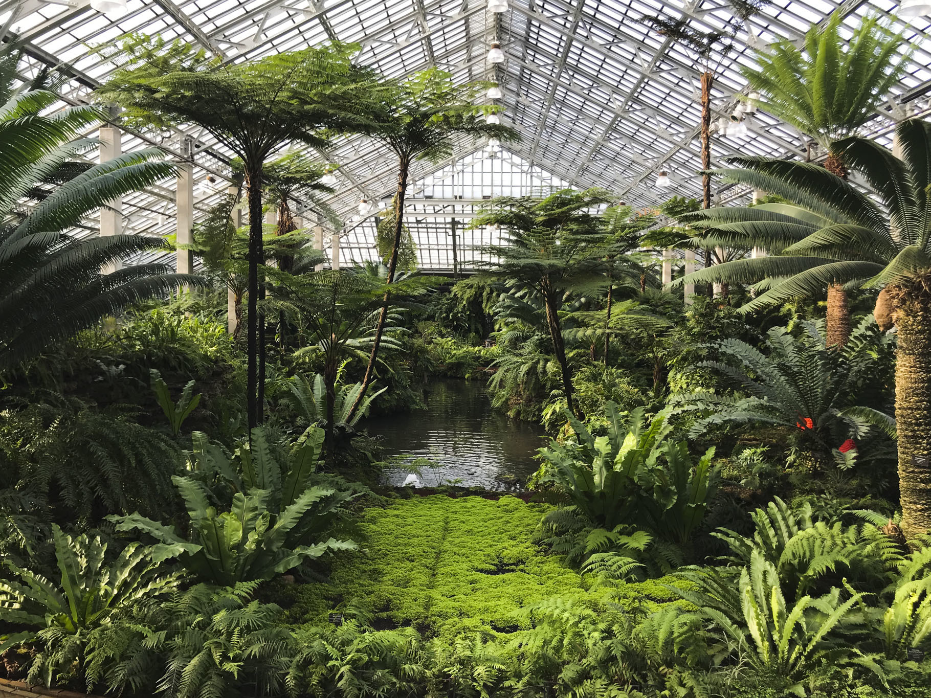 Garfield Park Conservatory of Chicago