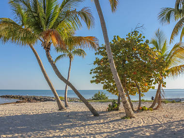 Seven ways to experience Key West like a local Seven ways to experience Key West like a local
