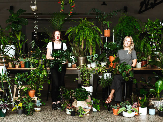 Leaf Supply at Tramsheds Growers Markets Leaf Supply at Tramsheds Growers Markets