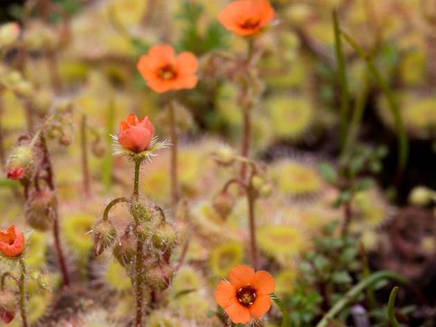 (Photograph: Supplied/Greg Bourke)