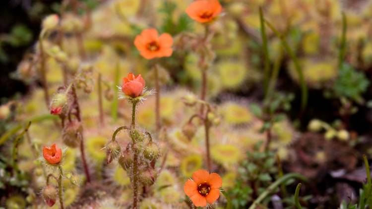 Photograph: Supplied/Greg Bourke