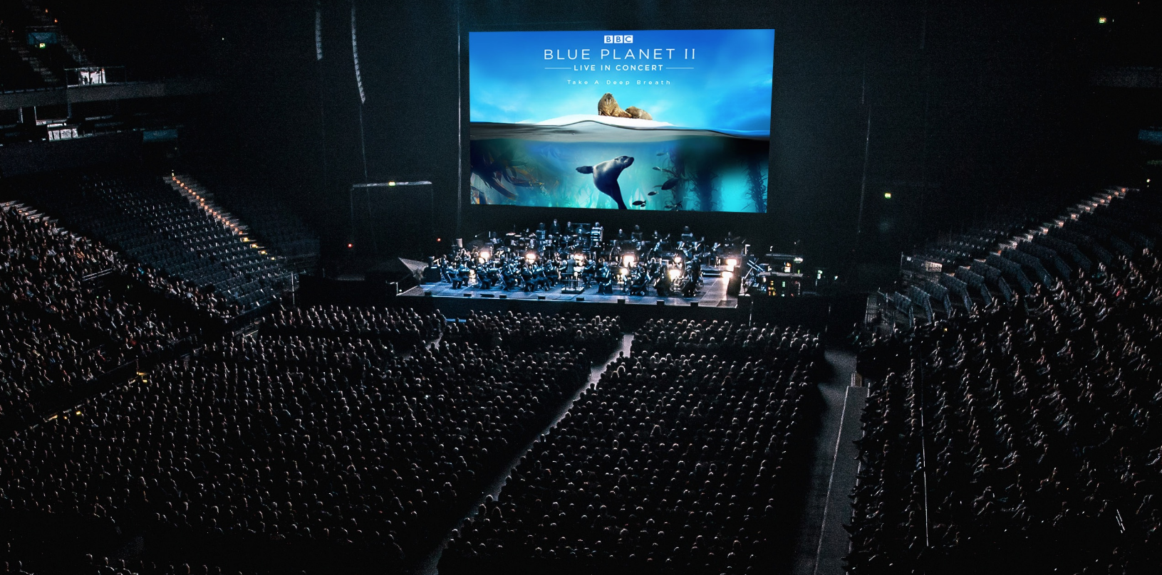 Rixos radamis blue planet отзывы. Концерт в Live Arena. Resorts World Arena. Blue Table Concert. Blue Planet чемодан.