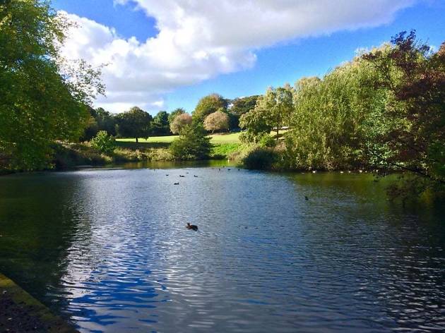 Phoenix Park | Attractions in Dublin