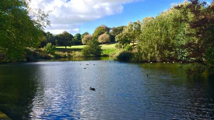 Phoenix Park, Dublin