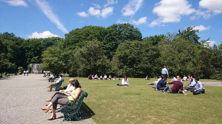 Iveagh Gardens, Dublin