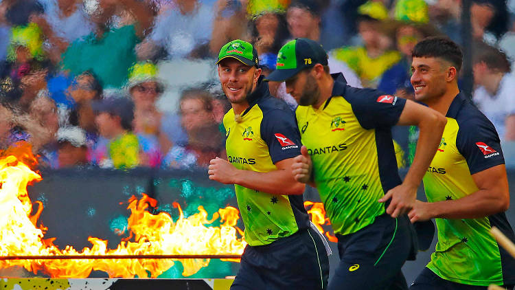 T20 cricket
