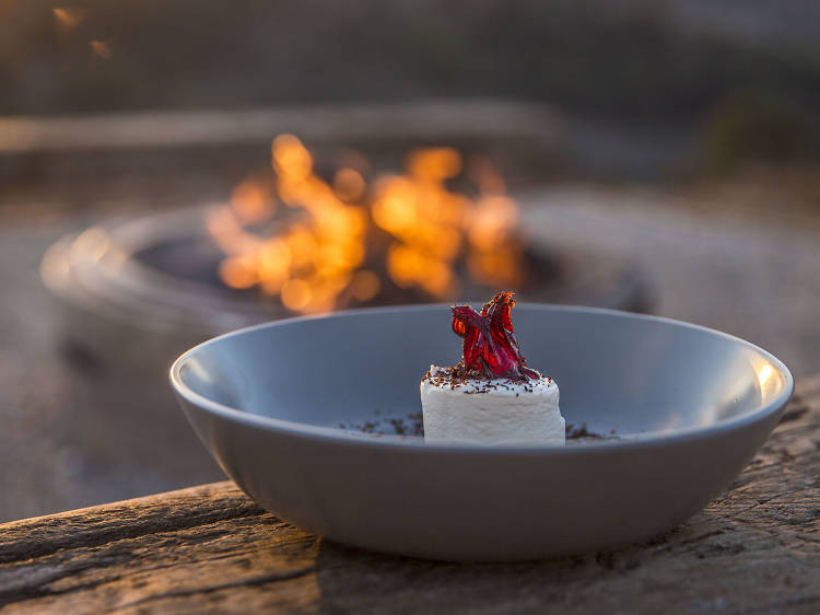 Plate of native ingredients near a fire.