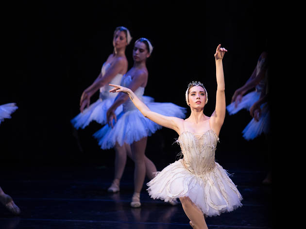 El algo de los cisnes El lago de los cisnes de la Compañía Nacional de Danza