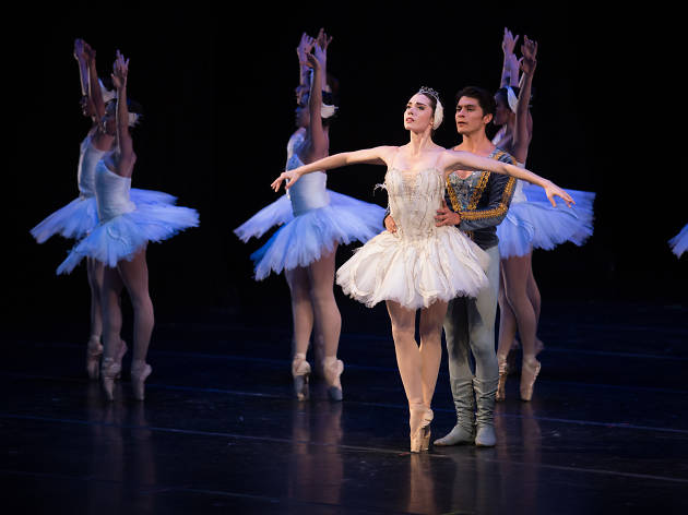 El algo de los cisnes El lago de los cisnes de la Compañía Nacional de Danza