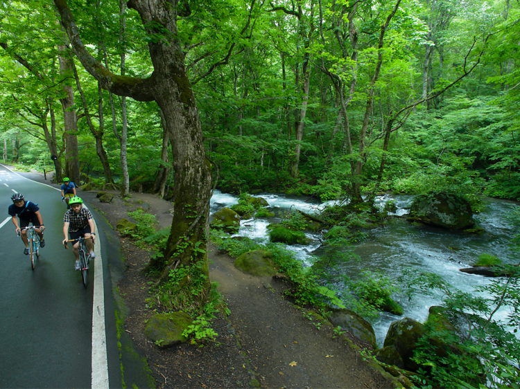 Five best cycling routes in Tokyo and Aomori