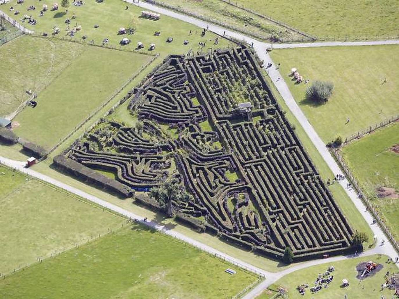 Best mazes in the uk 9 mind boggling mazes for day trips from london