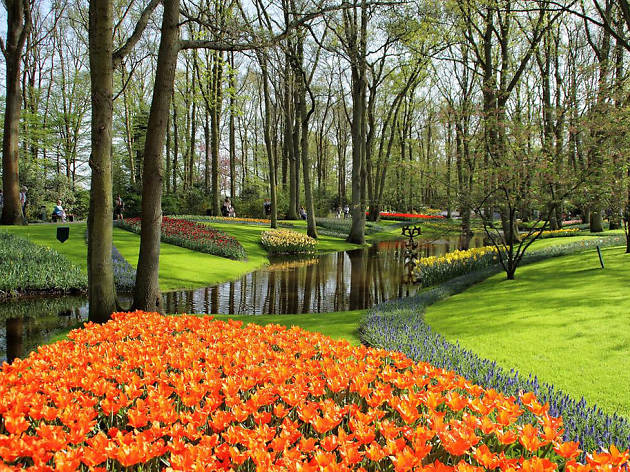 Keukenhof Keukenhof
