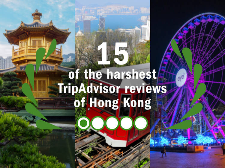 TripAdvisor reviews