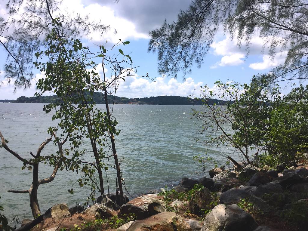 8 Spots In Singapore To Avoid The Crowds 8 Spots In Singapore To Avoid The Crowds