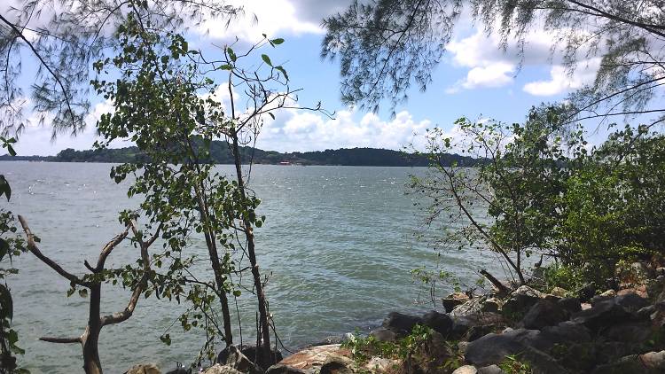 Punggol Point Jetty