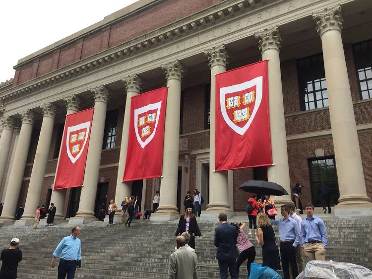 Harvard Campus Walking Tour 