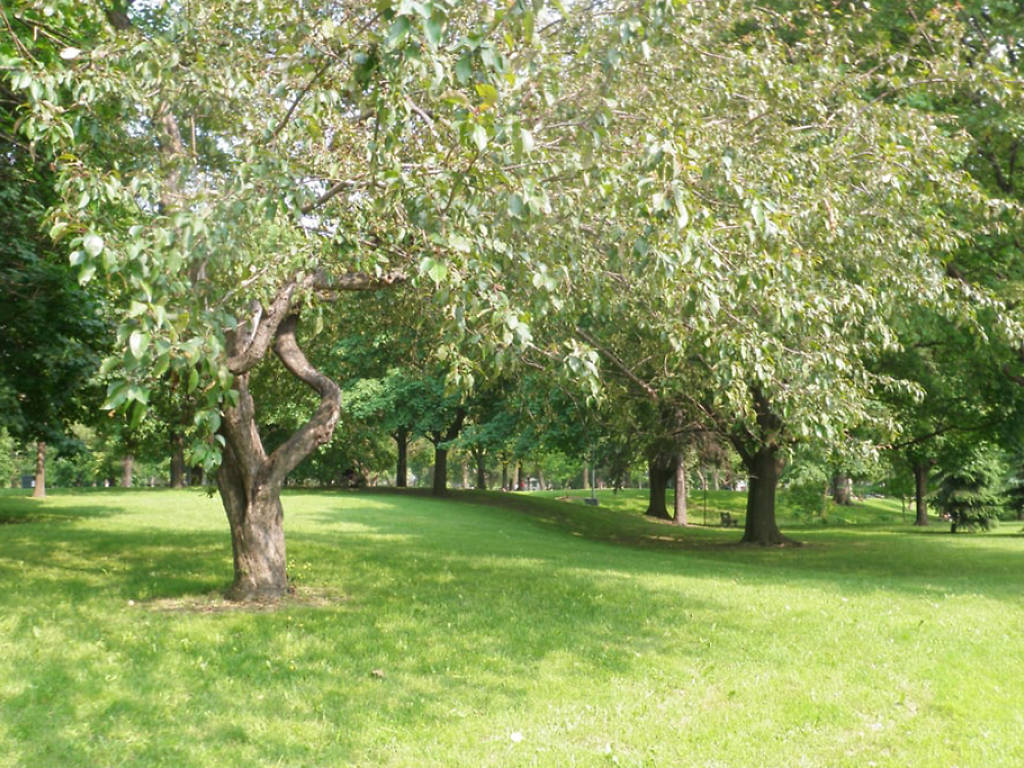 10 Best Parks in Toronto Provide Respite From Urban Life