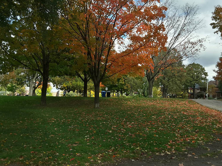 Withrow Park