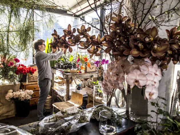 Flowers, Florist Shop, Florist 