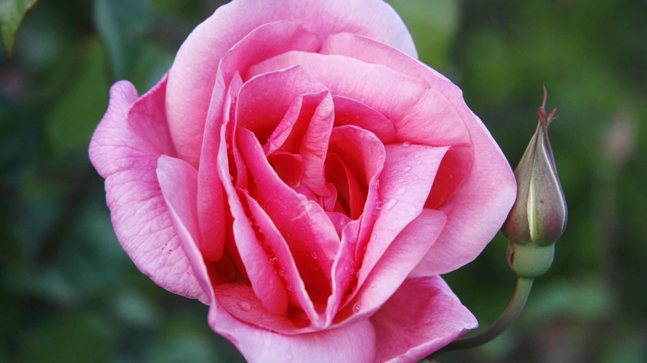 The 8 best spring getaways from Melbourne