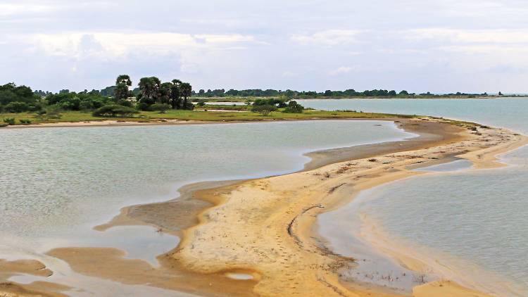 Chundikulam lagoon in Elephant Pass 