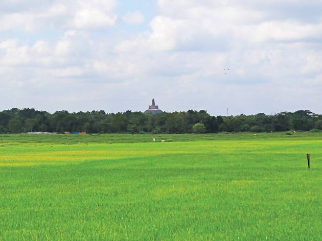 Abhayagiriya at a distant Abhayagiriya at a distant