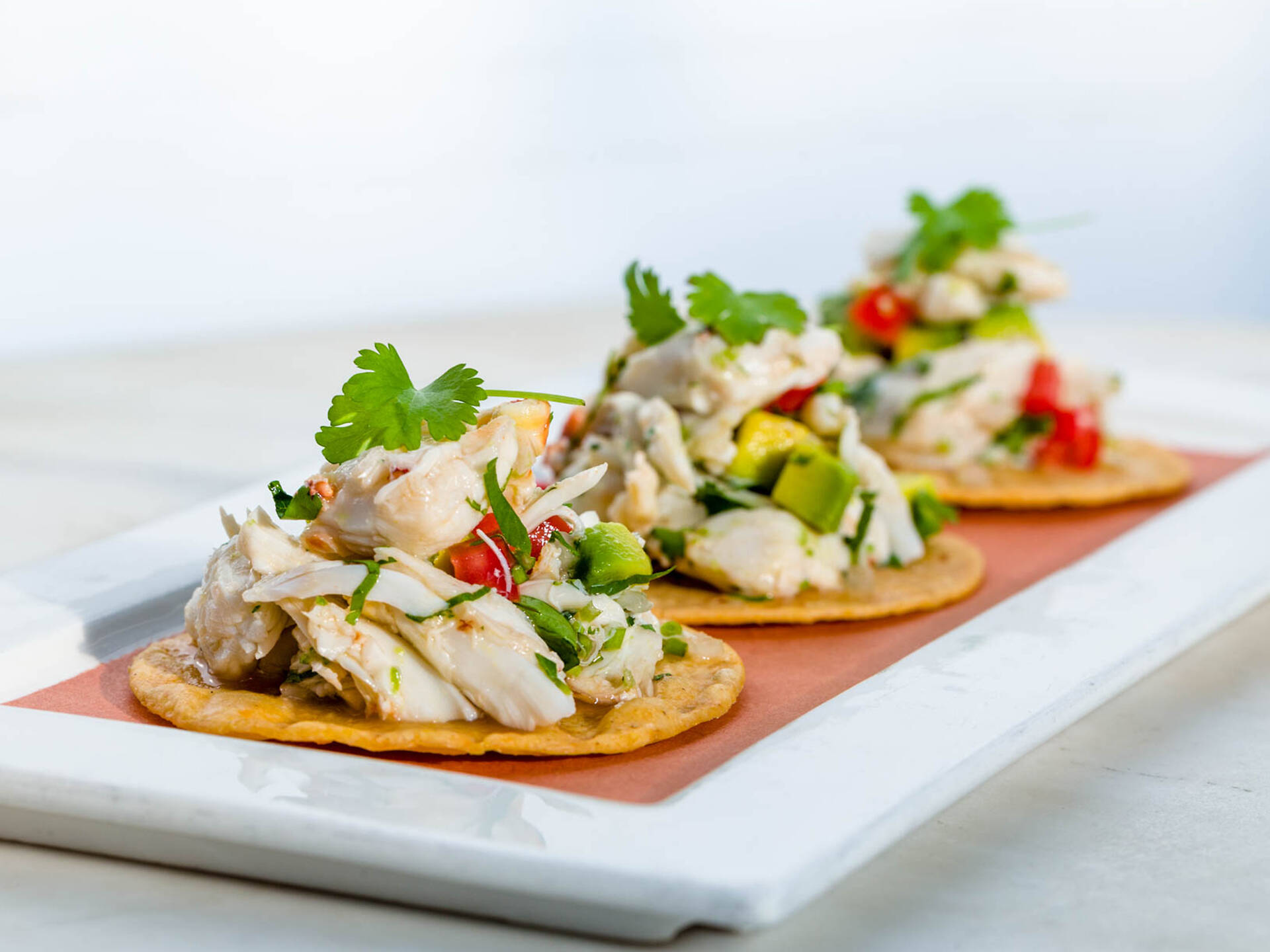 NYC’s 16 Best Mexican Restaurants Right Now