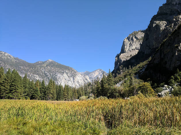 Kings Canyon National Park