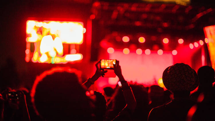 Afropunk Brooklyn 2018