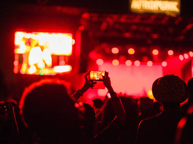 Afropunk is bigger than ever, but not without growing pains